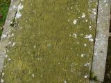image of grave number 174458